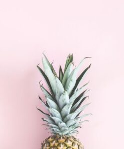 Fototapeta Ananas na růžové