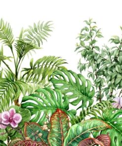 Fototapeta Tropické listy 6