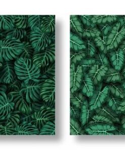 Fototapeta Čtyři tropy