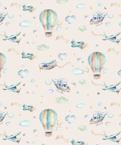 Fototapeta Letadla a balóny