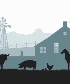 Fototapeta Farma ilustrace 2