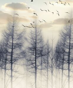 Fototapeta Stromy v mlze