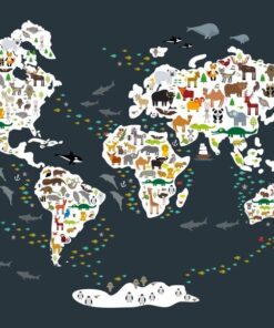 Fototapeta Mapa světa 13