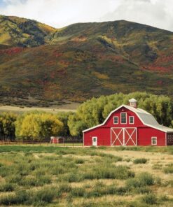 Fototapeta Red Cottage