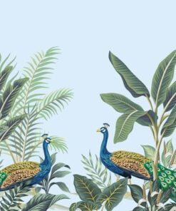 Fototapeta Peacocks in Palms