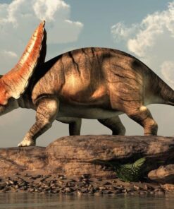 Fototapeta Torosaurus