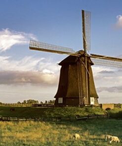 Fototapeta Větrný mlýn na venkově