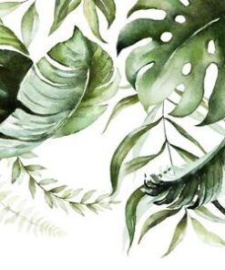 Fototapeta Botanické listy 3