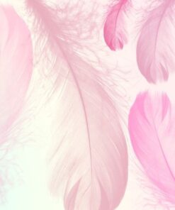 Samolepka na zeď Růžové peří