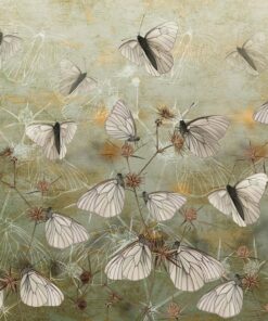 Fototapeta Motýli 3