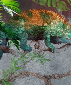 Fototapeta Barevný chameleon