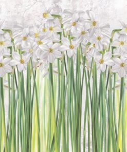 Fototapeta Sněženky