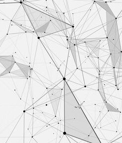 Fototapeta Černá a bílá 2