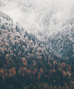 Fototapeta Frosted Mountains