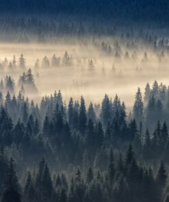 Fototapeta Misty Valley