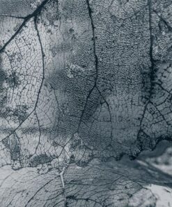 Nálepka na stěnu Listová textura