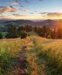 Fototapeta Květinová louka