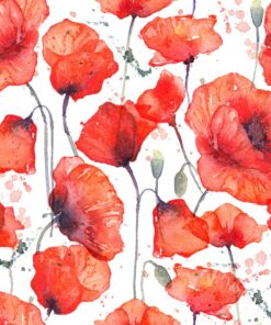 Fototapeta Poppy garden