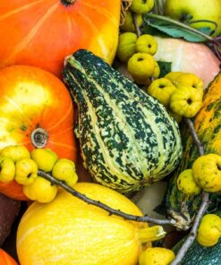 Fototapeta Podzimní zelenina