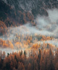 Fototapeta Misty Alps