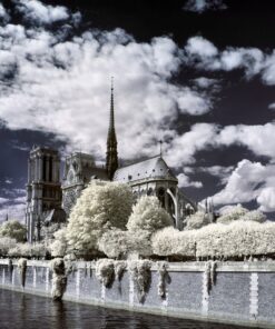 Fototapeta Pařížská katedrála