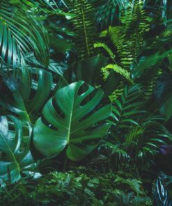 Fototapeta Power of Green