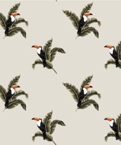 Fototapeta Exotický tukan