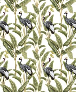 Fototapeta Černí jeřábi