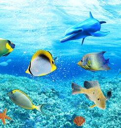 Fototapeta pod vodou