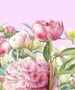 Fototapeta Delicate Pivoňky