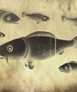 Fototapeta Plovoucí ryba