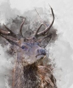 Fototapeta Hrdý jelen