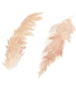 Fototapeta Dvě trávy