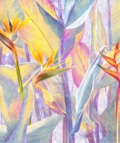 Fototapeta Exotická květina