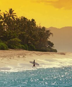 Fototapeta Havajský surfař