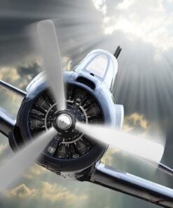 Fototapeta Retro bojovník