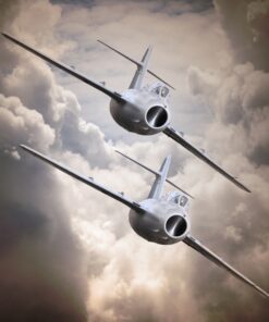 Fototapeta Dva bojovníci