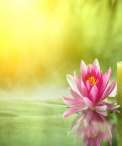 Fototapeta Water Harmony