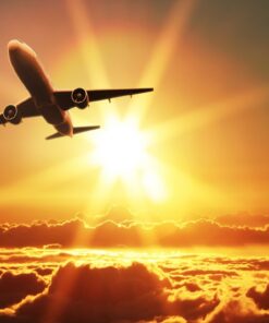 Fototapeta Sunny Flight