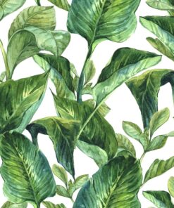 Fototapeta Zelené palmy