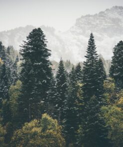 Fototapeta Podzimní hora