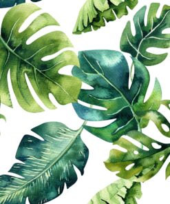 Fototapeta Tmavě zelená