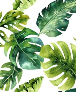 Fototapeta Barvy zelené 2