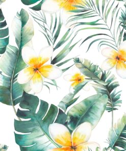 Fototapeta Bílá plumeria