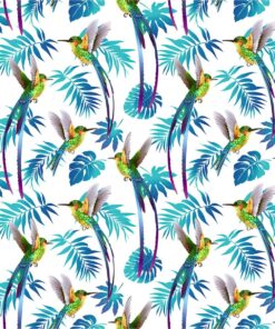 Fototapeta Kolibřík