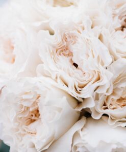 Fototapeta Světlá kytice