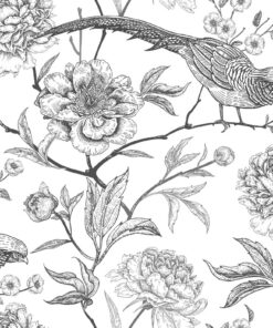 Fototapeta Černí bažanti