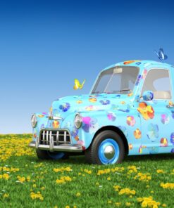 Fototapeta Malé autíčko