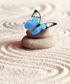 Fototapeta Modrý motýl 2