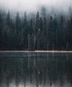 Fototapeta Dark Lake